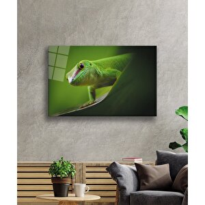 Hayvan Yeşil Cam Tablo Green Animal 50x70 cm