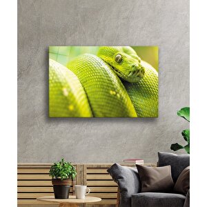 Yeşil Yılan Hayvan Cam Tablo Green Snake 90x60 cm
