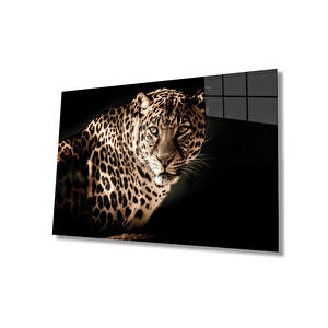 Leopar Hayvan Portresi Cam Tablo Ev Ve Ofis Duvar Dekoru 50x70 cm