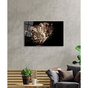 Leopar Hayvan Portresi Cam Tablo Ev Ve Ofis Duvar Dekoru 50x70 cm