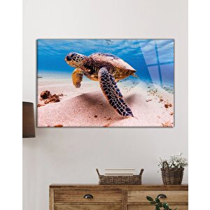 Deniz Kaplumbağası Hayvan Portresi Cam Tablo 50x70 cm