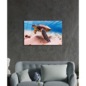 Deniz Kaplumbağası Hayvan Portresi Cam Tablo 50x70 cm