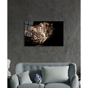 Leopar Hayvan Portresi Cam Tablo Ev Ve Ofis Duvar Dekoru 36x23 cm