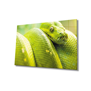Yeşil Yılan Hayvan Cam Tablo Green Snake 36x23 cm