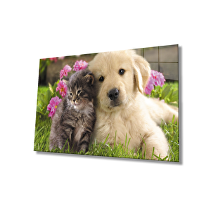 Kedi Ve Köpek Cam Tablo 36x23 cm