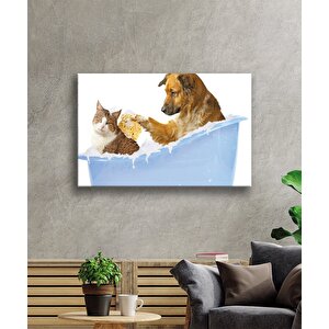 Kedi Köpek Cam Tablo 110x70 cm