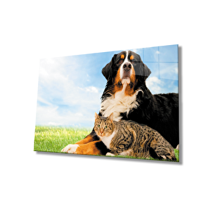 Kedi Köpek Cam Tablo 50x70 cm