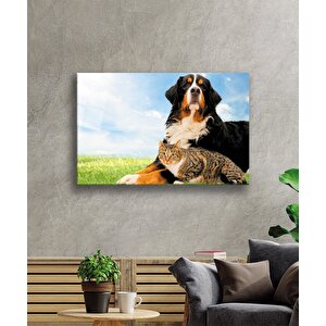 Kedi Köpek Cam Tablo 50x70 cm