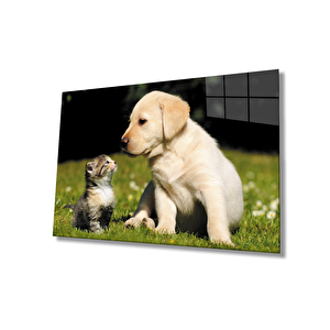 Kedi Köpek Cam Tablo 50x70 cm