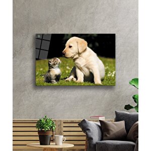 Kedi Köpek Cam Tablo 50x70 cm