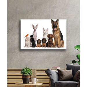 Hayvanlar Cam Tablo 50x70 cm