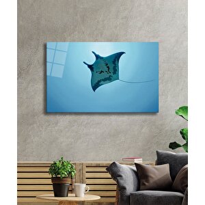 Sualtı Hayvanlar Cam Tablo Marine Life 36x23 cm