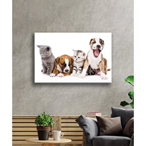 Kediler Ve Köpekler Cam Tablo 36x23 cm
