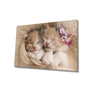 Kediler Cam Tablo Cats Table 110x70 cm