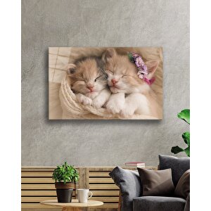 Kediler Cam Tablo Cats Table 110x70 cm