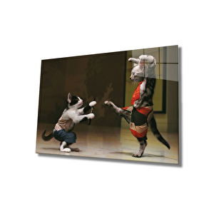 Kediler Savaşı Cam Tablo Fighting Of Cats 110x70 cm