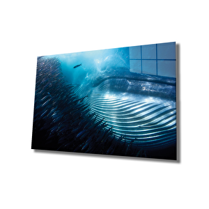 Sualtı Hayvanlar Cam Tablo Marine Life 50x70 cm