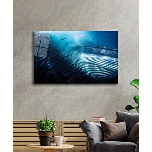 Sualtı Hayvanlar Cam Tablo Marine Life 50x70 cm