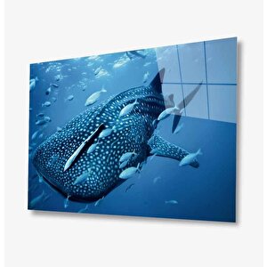 Sualtı Hayvanlar Cam Tablo Marine Life 36x23 cm