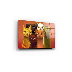 Kediler Cam Tablo 60x90 cm