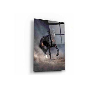 At Cam Tablo 50x70 cm