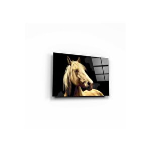 At Cam Tablo 60x90 cm