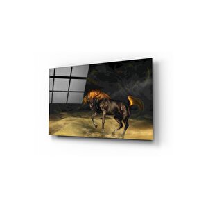 At Cam Tablo 60x90 cm