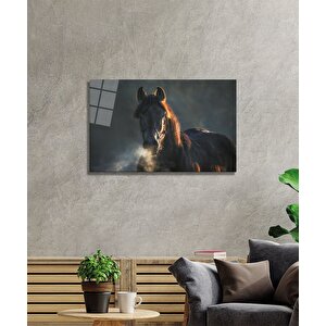At Cam Tablo 50x70 cm