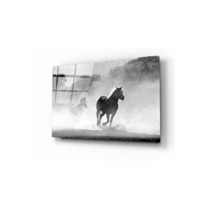 At Cam Tablo 50x70 cm