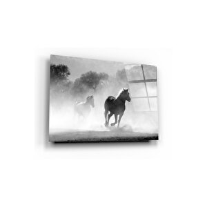 At Cam Tablo 50x70 cm