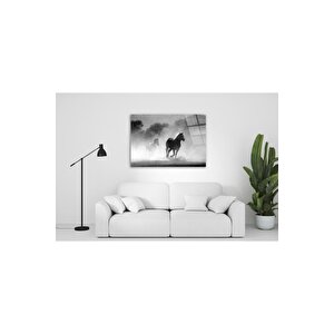 At Cam Tablo 50x70 cm