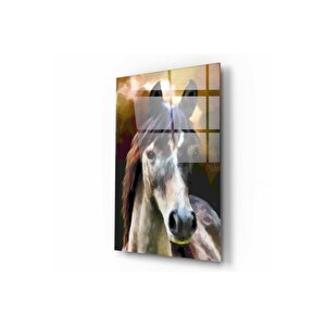 At Cam Tablo 50x70 cm