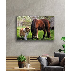 At Ve Köpek Cam Tablo 50x70 cm