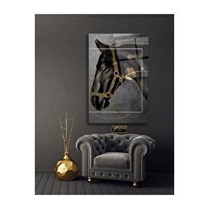 At Cam Tablo 50x70 cm