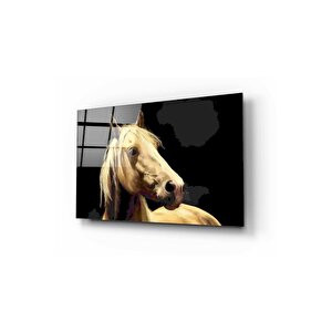 At Cam Tablo 70x110 cm