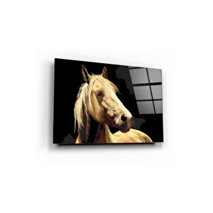 At Cam Tablo 70x110 cm