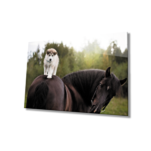 At Ve Köpek Cam Tablo 50x70 cm