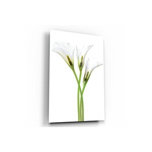 Çiçek Cam Tablo 50x70 cm