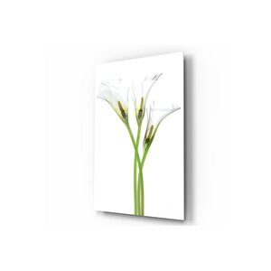 Çiçek Cam Tablo 50x70 cm