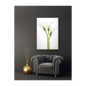 Çiçek Cam Tablo 50x70 cm