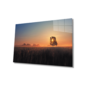 Gün Batımında Ağaç Manzaralı Cam Tablo 50x70 cm