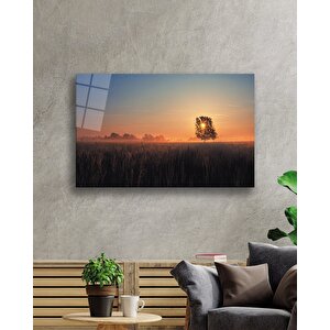 Gün Batımında Ağaç Manzaralı Cam Tablo 50x70 cm