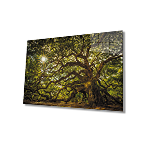 Ağaç Orman Güneş Yeşil Cam Tablo 36x23 cm
