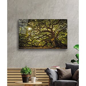 Ağaç Orman Güneş Yeşil Cam Tablo 36x23 cm