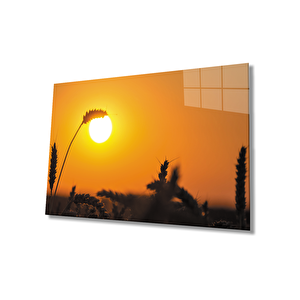 Gün Batımında Başaklar Sarı Tablo Cam Tablo 36x23 cm