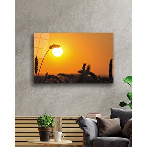 Gün Batımında Başaklar Sarı Tablo Cam Tablo 36x23 cm