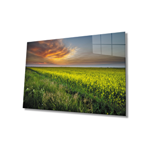 Gün Batımında Çiçek Tarlası Manzaralı Cam Tablo 36x23 cm