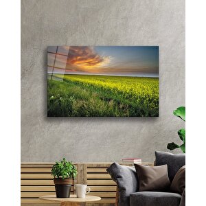 Gün Batımında Çiçek Tarlası Manzaralı Cam Tablo 36x23 cm