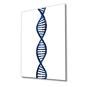 Dna Geometrik Mimari Cam Tablo 36x23 cm