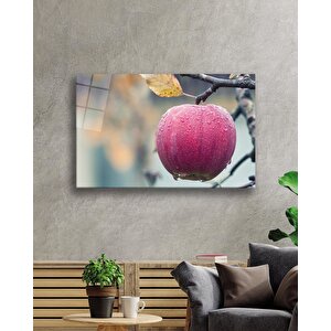 Dalda Elma Cam Tablo Apple 110x70 cm